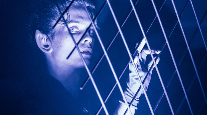 Deep Fake 700x390.png