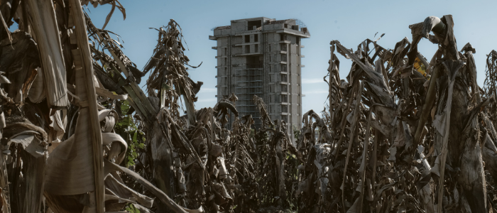 UKM, 750x300 (2).png