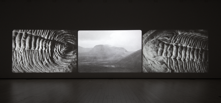 UKM, 750x300 (7).png