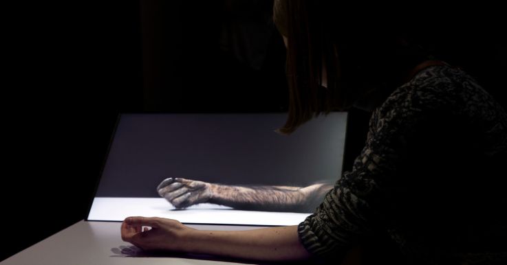 Eija-Liisa Ahtila – A Possible Image – of what is just becoming reality