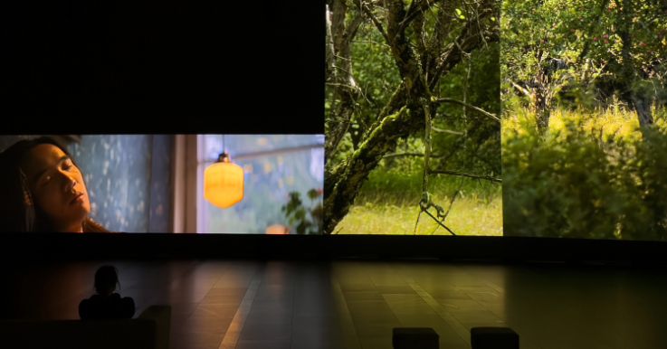 Eija-Liisa Ahtila – A Possible Image – of what is just becoming reality