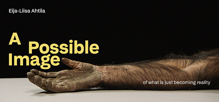 Eija-Liisa Ahtila – A Possible Image – of what is just becoming reality
