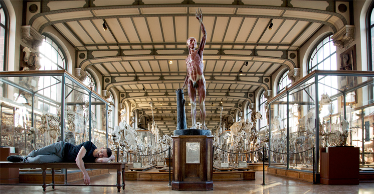 Centrerat i bilden är en anatomisk modell av en man till vänster ligger en man och sover på en bänk. I bakgrunden är ett stort antal skelett från djur. 