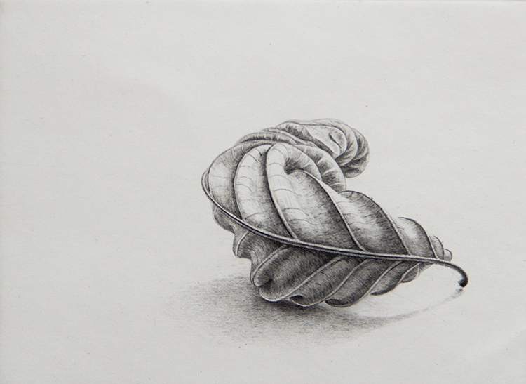 Ulla Fries, Löv, kopparstick, 1993. Ett kopparstick av Ulla Fries från 1993 med motivet ett löv.