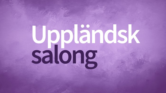Uppländsk salong_top.jpg