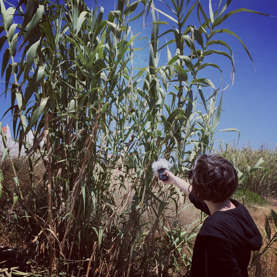 Klara Lewis, Field recording. Foto Hampus Högberg